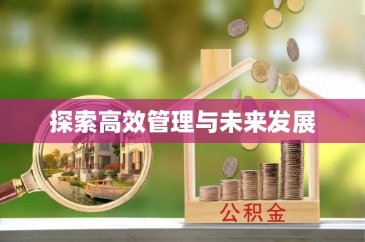 立山探索高效管理与未来发展