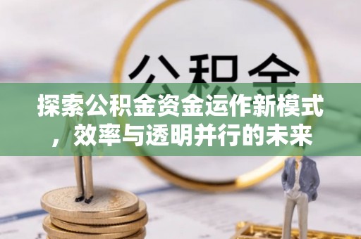 立山探索公积金资金运作新模式，效率与透明并行的未来