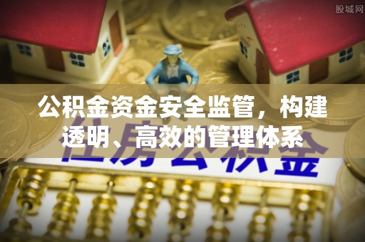立山公积金资金安全监管，构建透明、高效的管理体系