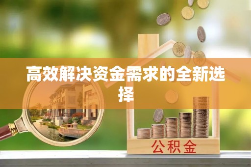 立山高效解决资金需求的全新选择