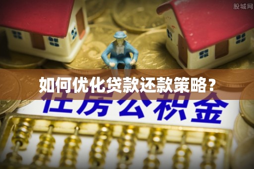 立山如何优化贷款还款策略？