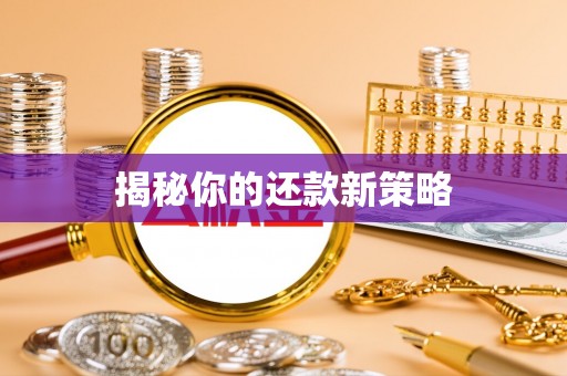 立山揭秘你的还款新策略