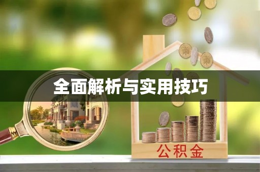 立山全面解析与实用技巧