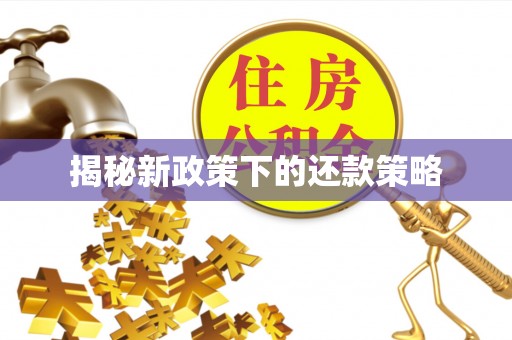 立山揭秘新政策下的还款策略
