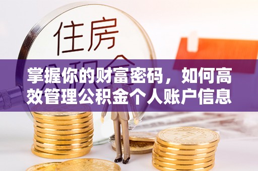 立山掌握你的财富密码，如何高效管理公积金个人账户信息