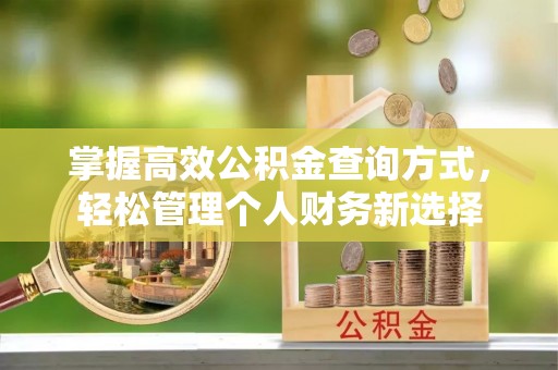 立山掌握高效公积金查询方式，轻松管理个人财务新选择