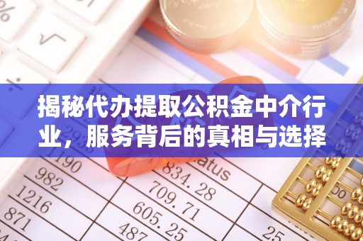 立山揭秘代办提取公积金中介行业，服务背后的真相与选择指南