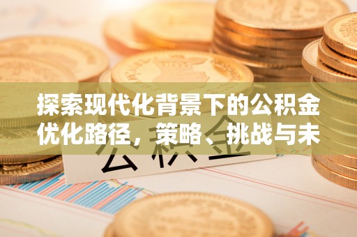 立山探索现代化背景下的公积金优化路径，策略、挑战与未来展望