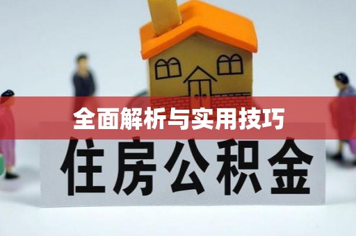 立山全面解析与实用技巧
