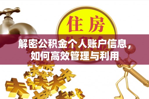 立山解密公积金个人账户信息，如何高效管理与利用