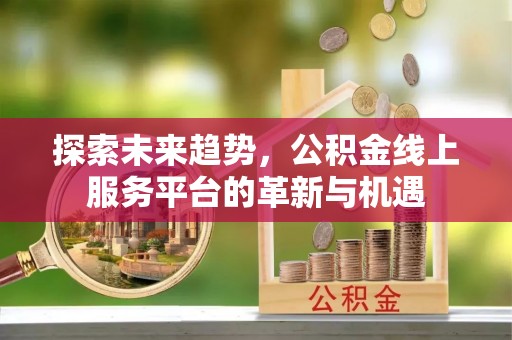立山探索未来趋势，公积金线上服务平台的革新与机遇