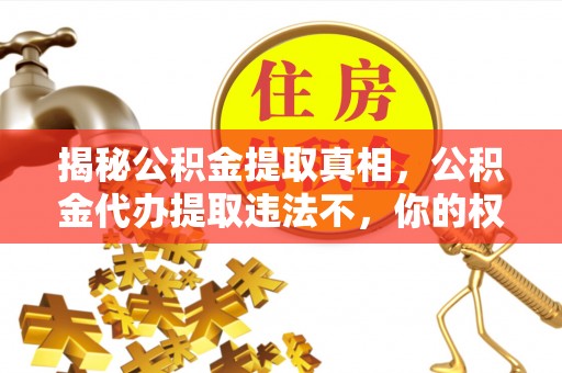 立山揭秘公积金提取真相，公积金代办提取违法不，你的权益如何保障？