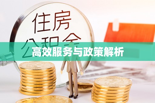 立山高效服务与政策解析