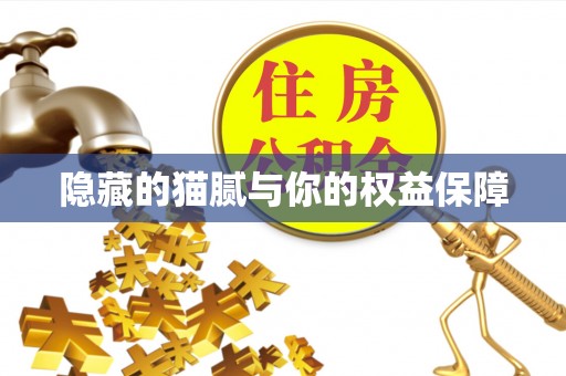 立山隐藏的猫腻与你的权益保障
