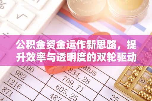 立山公积金资金运作新思路，提升效率与透明度的双轮驱动