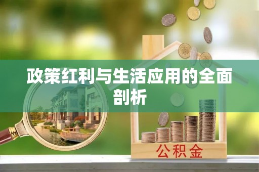 立山政策红利与生活应用的全面剖析