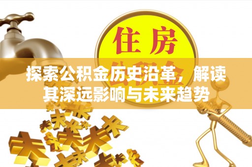 立山探索公积金历史沿革，解读其深远影响与未来趋势