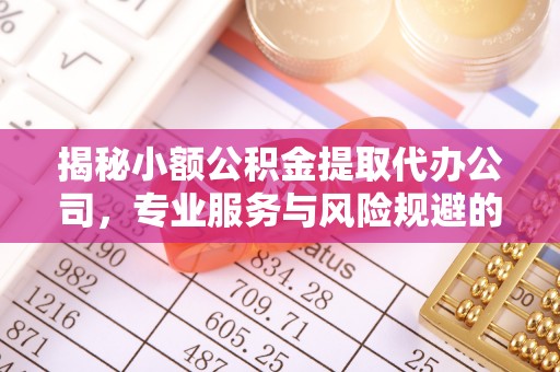 立山揭秘小额公积金提取代办公司，专业服务与风险规避的平衡艺术
