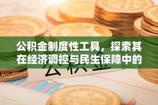 立山公积金制度性工具，探索其在经济调控与民生保障中的重要作用