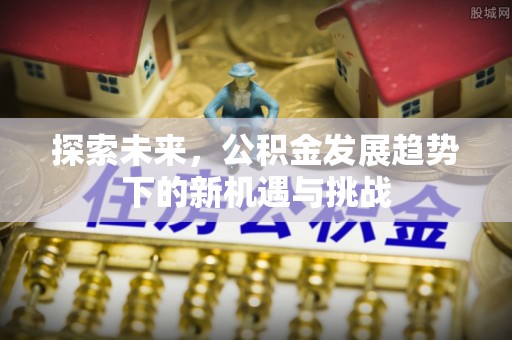 立山探索未来，公积金发展趋势下的新机遇与挑战