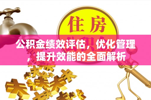 立山公积金绩效评估，优化管理，提升效能的全面解析