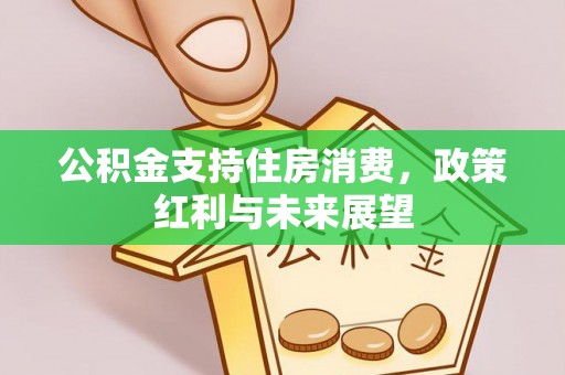 立山公积金支持住房消费，政策红利与未来展望