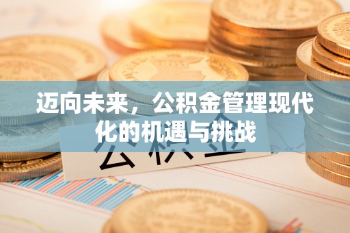 立山迈向未来，公积金管理现代化的机遇与挑战