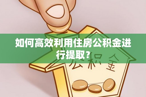 立山如何高效利用住房公积金进行提取？