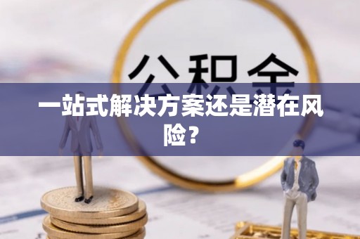 立山一站式解决方案还是潜在风险？